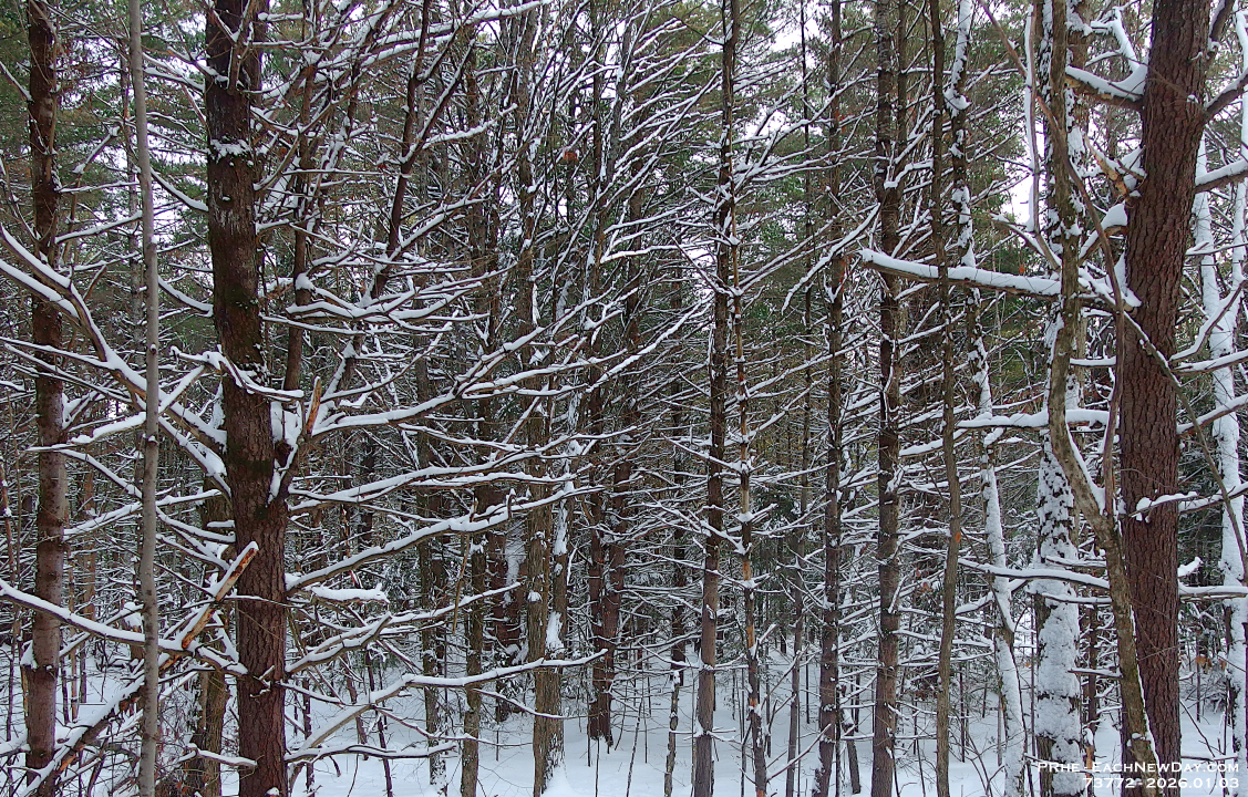 73772CrLeUsm - Snowshoeing with John - Deb